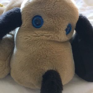 Meet your Posher, Abby